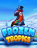 เปิดประสบการณ์ ทดลอง เล่น เกม กับค่าย NetEnt สุดเจ๋ง